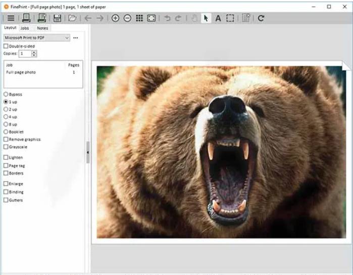 FinePrint Crack 2 FinePrint%20Crack1
