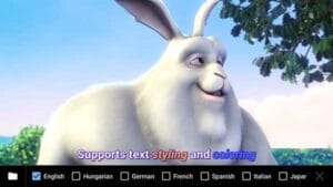MX Player Pro Mod Apk