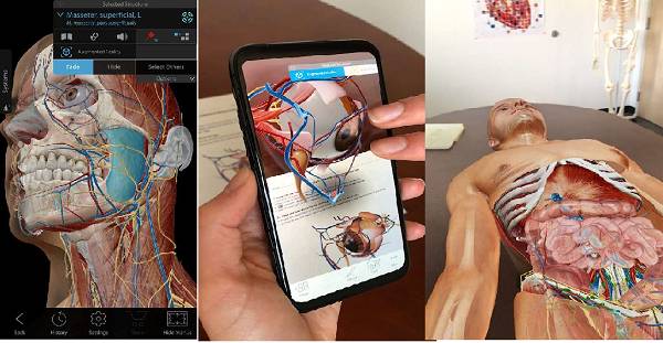 Human Anatomy Atlas Mod Apk