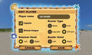 Beach Cricket Game Download