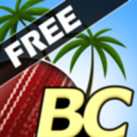 Beach Cricket Game Download