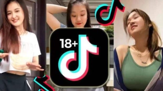 Tiktok Adulting Version Apk