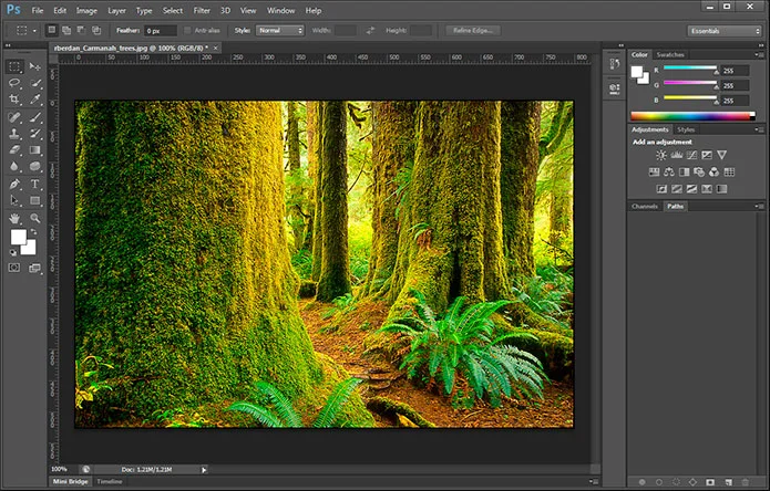 Photoshop Cs6 Crack